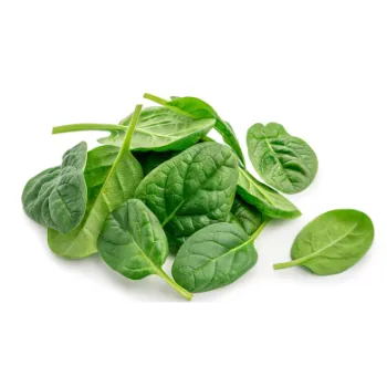 Fresh Spinach